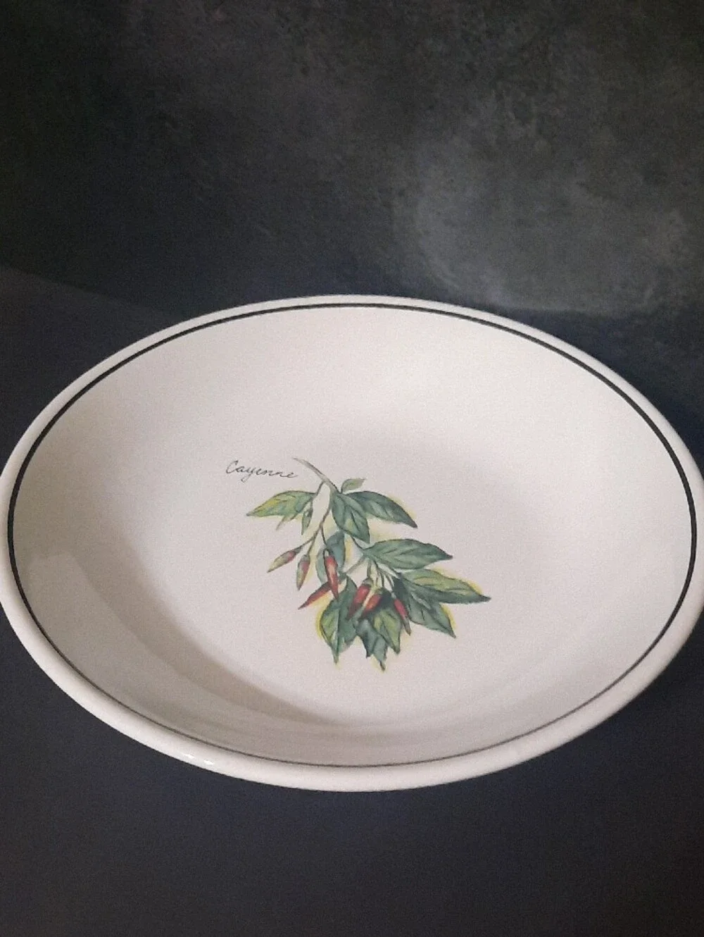 Vintage Williams Sonoma Culinary Herb Cayenne Bowl with White Base and Black Rim